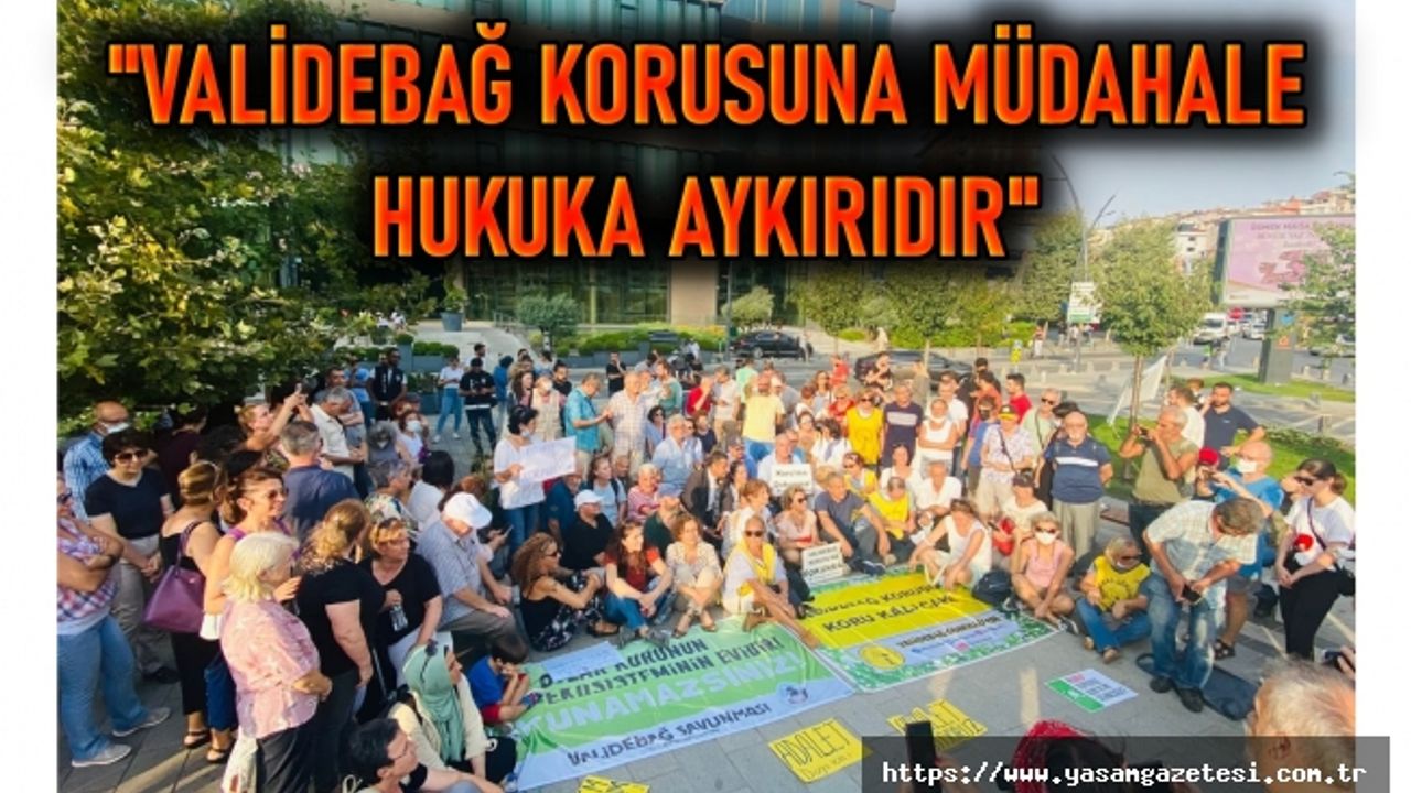 ÖZÇAĞDAŞ: VALİDEBAĞ KORUSUNA MÜDAHALE HUKUKA AYKIRIDIR