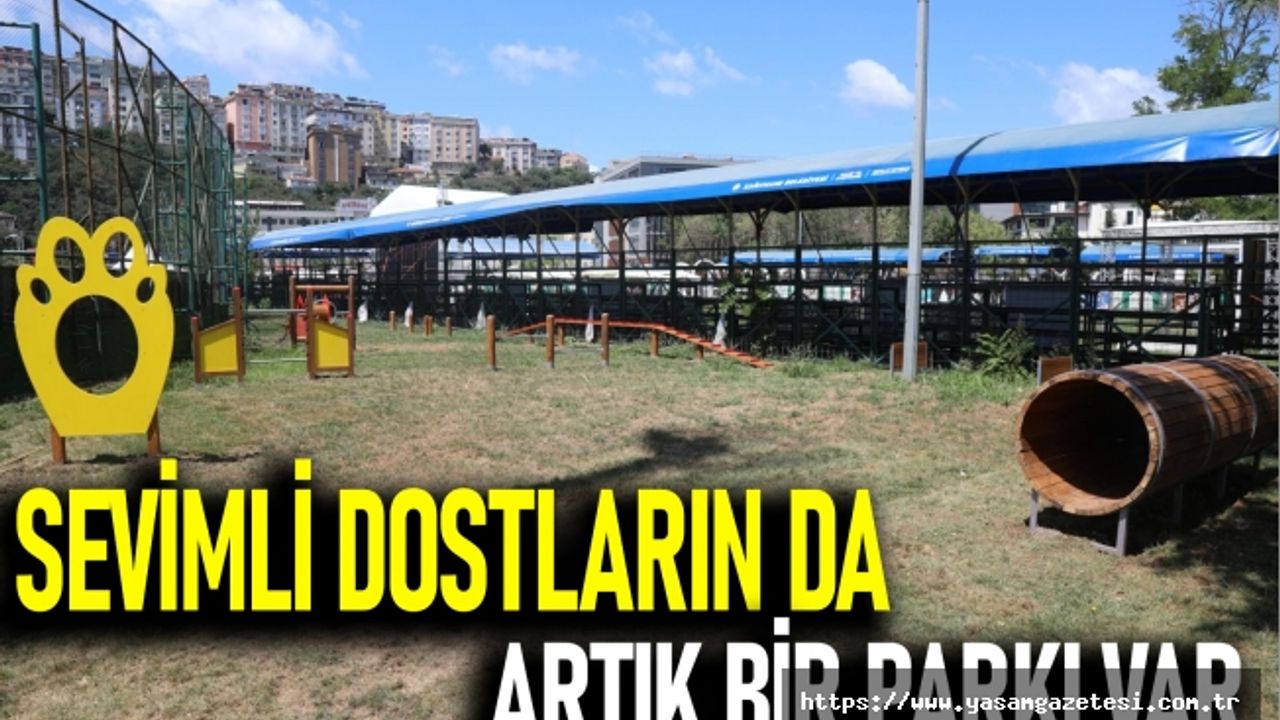 SEVİMLİ DOSTLARIN DA ARTIK BİR PARKI VAR