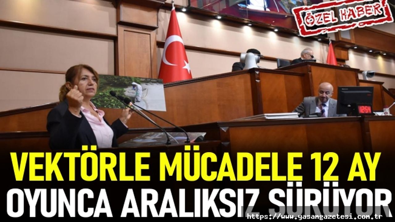 VEKTÖRLE MÜCADELE 12 AY BOYUNCA ARALIKSIZ SÜRÜYOR