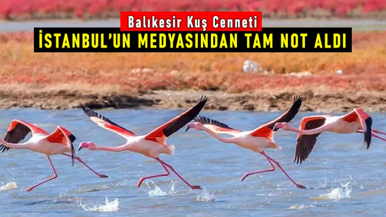 Balıkesir Kuş Cenneti, İstanbul'un medyasından tam not aldı