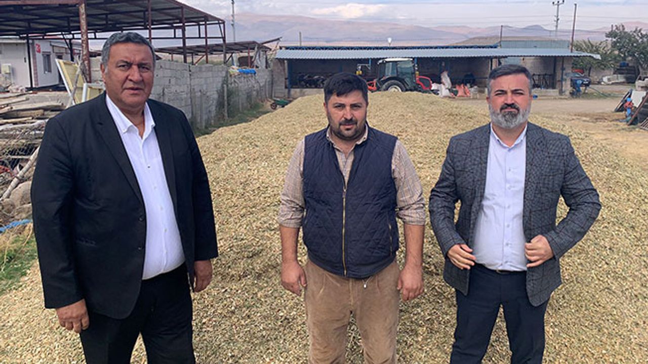 Hayvancılık sektöründeki en büyük sorun yem maliyetleri