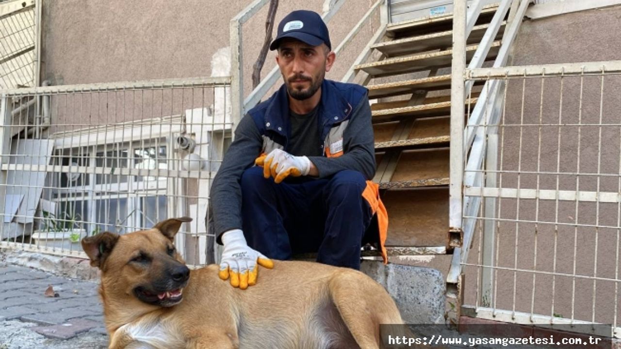 Sokak köpeği ile temizlik görevlisinin yürekleri ısıtan dostluğu