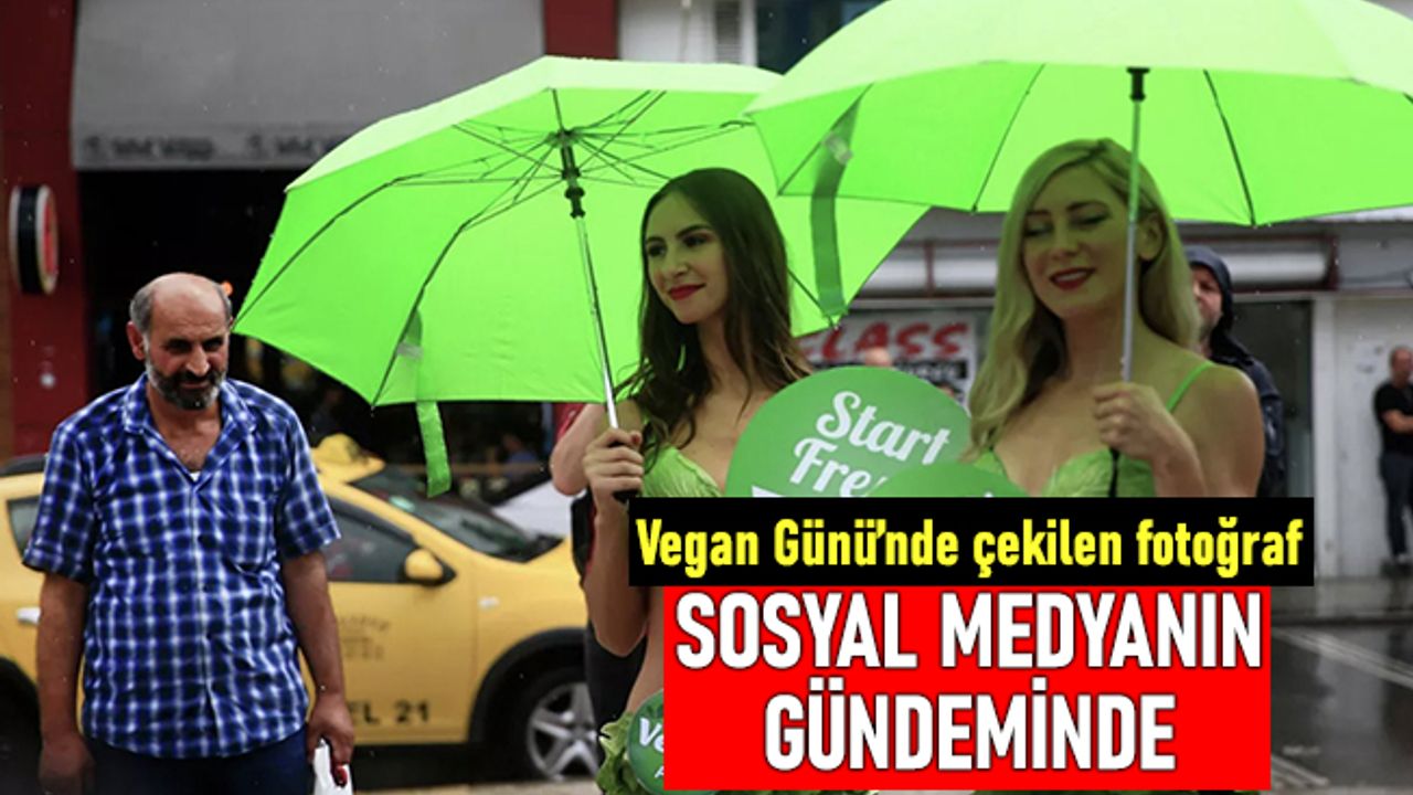 1 Kasım Vegan Günü'nde İstanbul'da çekilen fotoğraf sosyal medyanın gündeminde