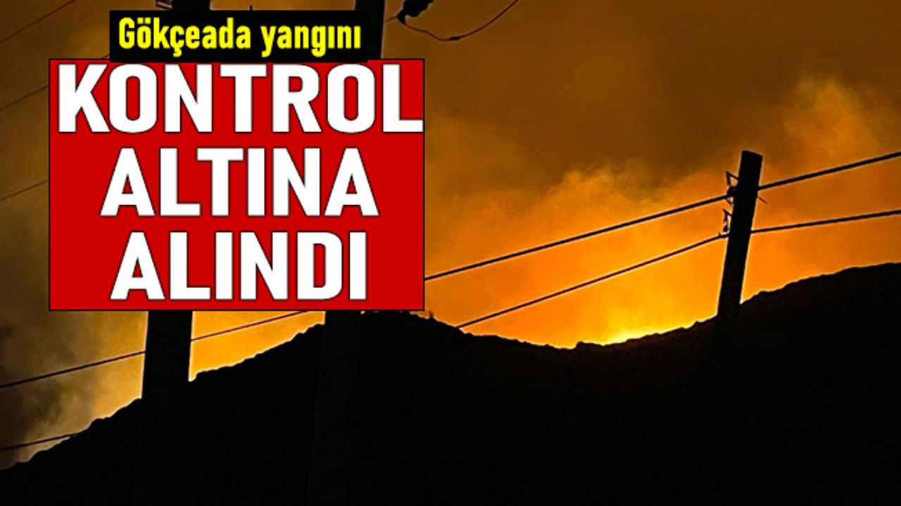 Gökçeada'daki yangın kontrol altına alındı