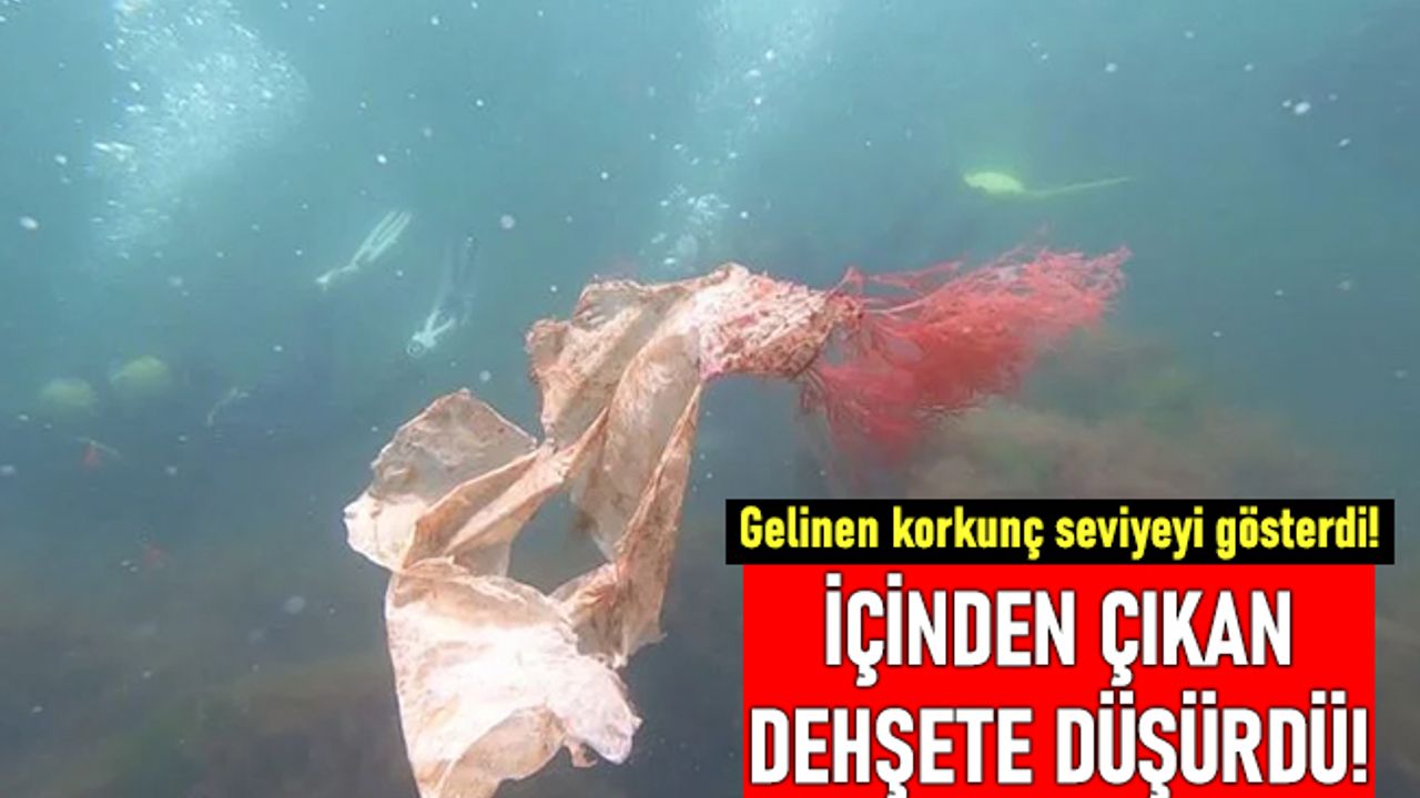 Karadeniz'de korkunç keşif: 2 milimetreden küçük canlıdan bile plastik çıktı