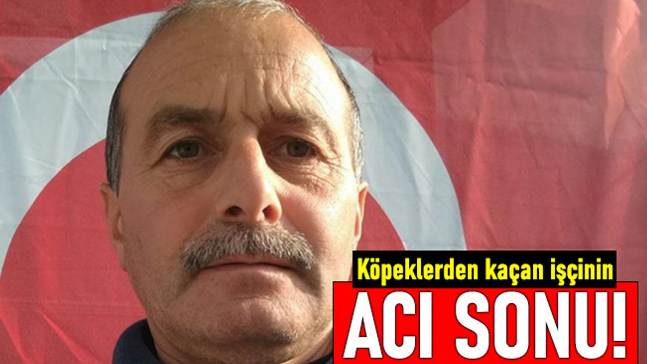 Köpeklerden kaçan ve araba çarpan temizlik işçisi Metin Tirkil öldü