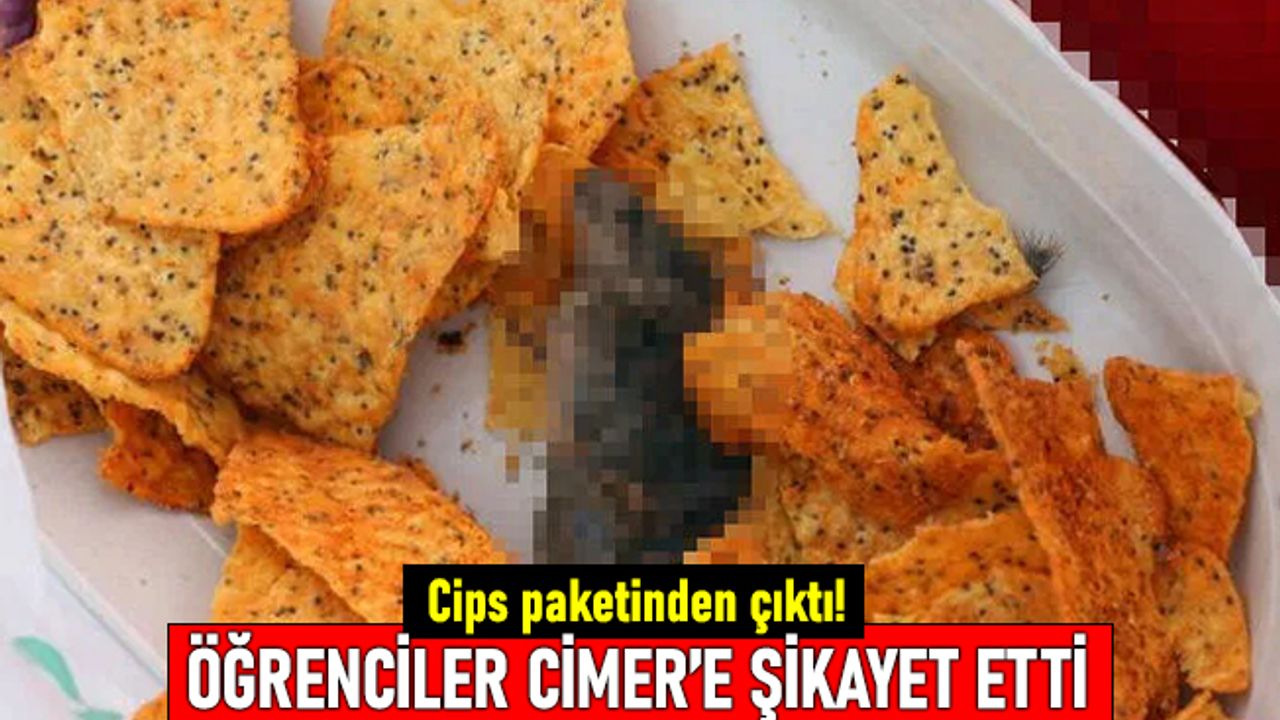 Öğrenciler CİMER'e şikayet etti: Cips paketinden çıkan fare ölüsü gündemde