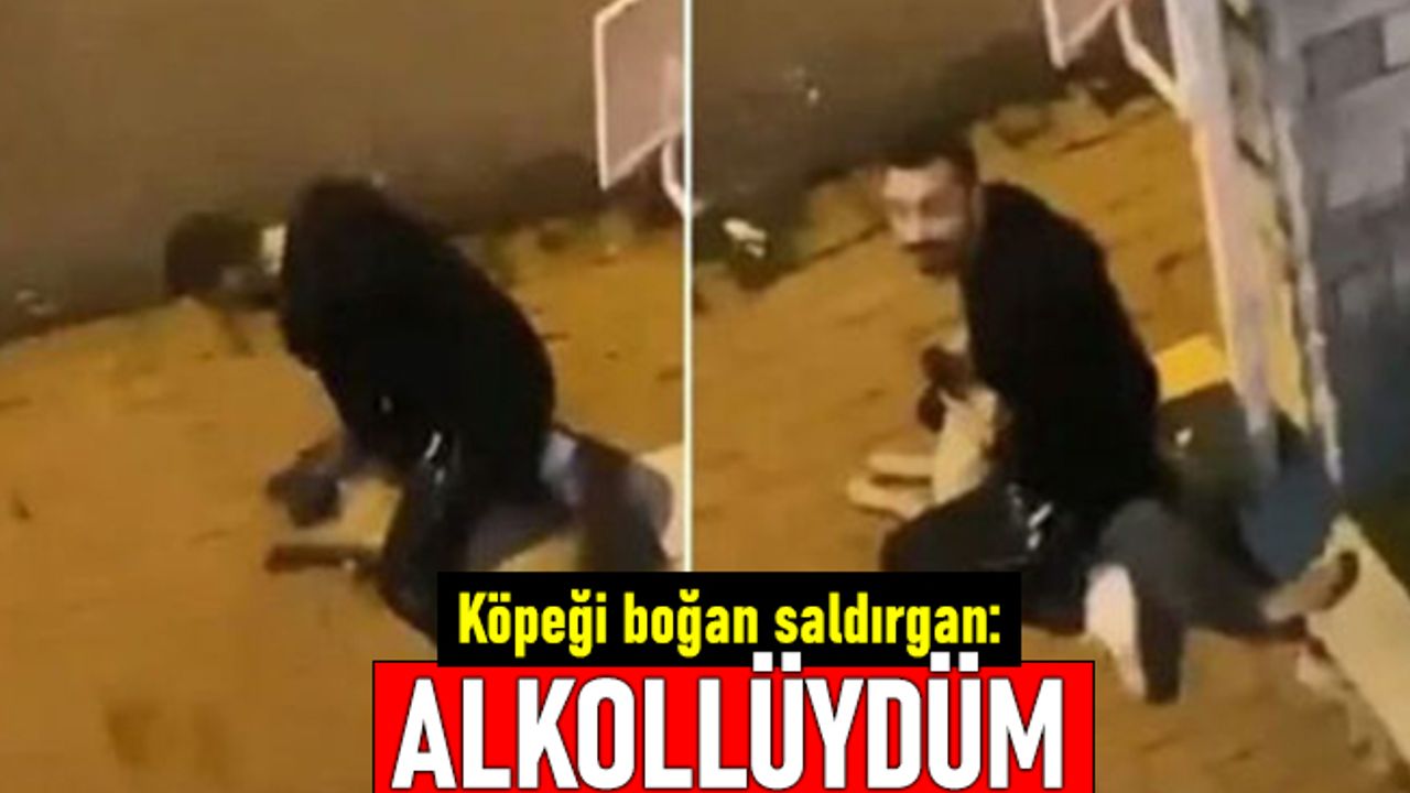 Sarıyer'de köpeği eliyle boğmaya çalışan saldırgan: Alkollüydüm