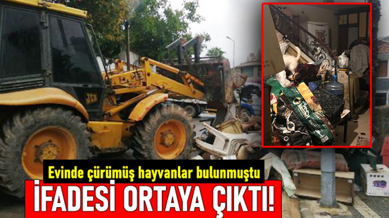 Evinde çürümüş kedi ve köpek ölüsü bulunan kadının ifadesi paylaşıldı