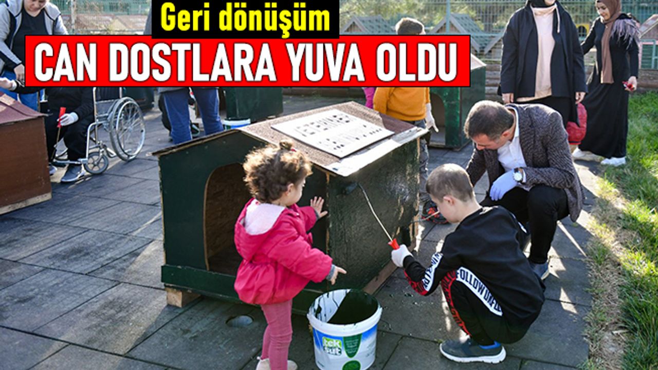 Geri dönüşüm, sokak hayvanlarına yuva olarak döndü