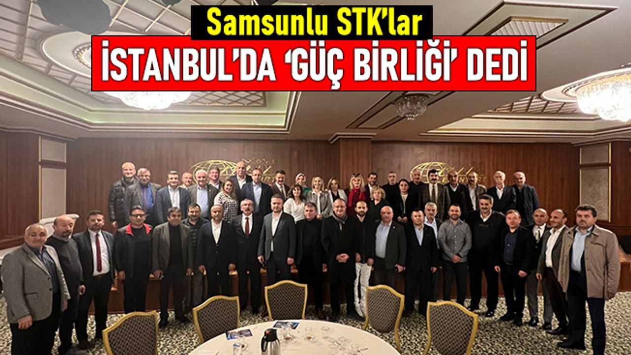 Samsunlu STK'lar İstanbul'da güç birliği dedi