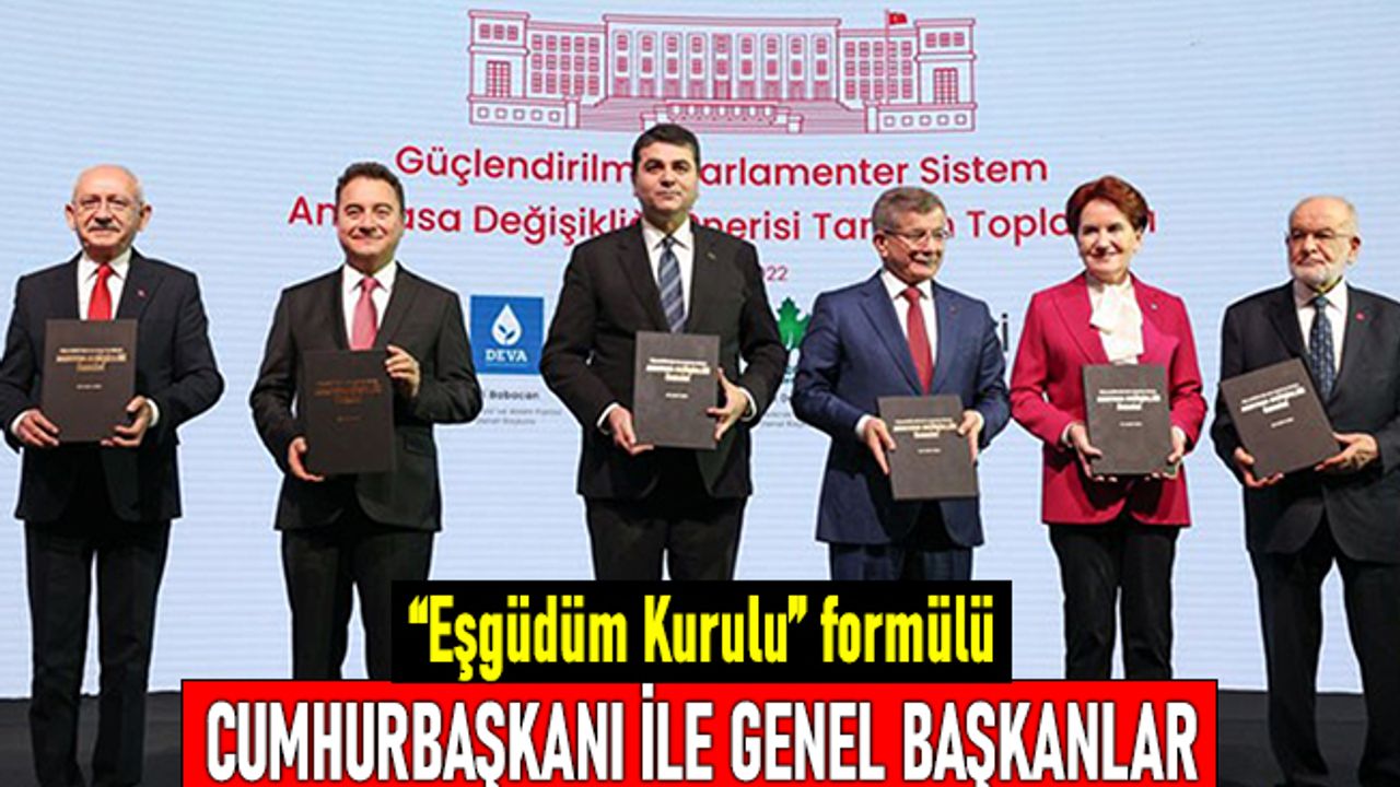 Yönetim için detaylar: Cumhurbaşkanı ve Eşgüdüm Kurulu formulü