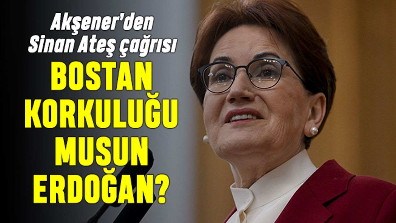 Akşener'den Sinan Ateş çağrısı: Bostan korkuluğu musun Erdoğan?