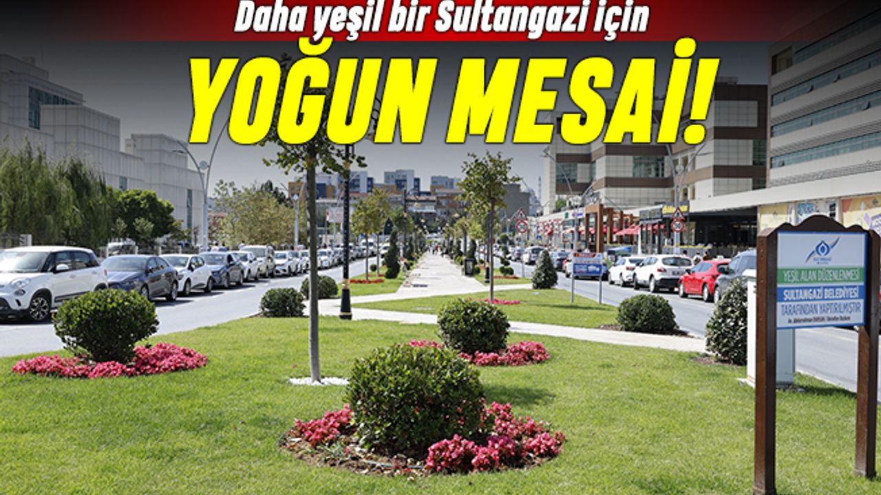 Daha yeşil bir Sultangazi için yoğun mesai