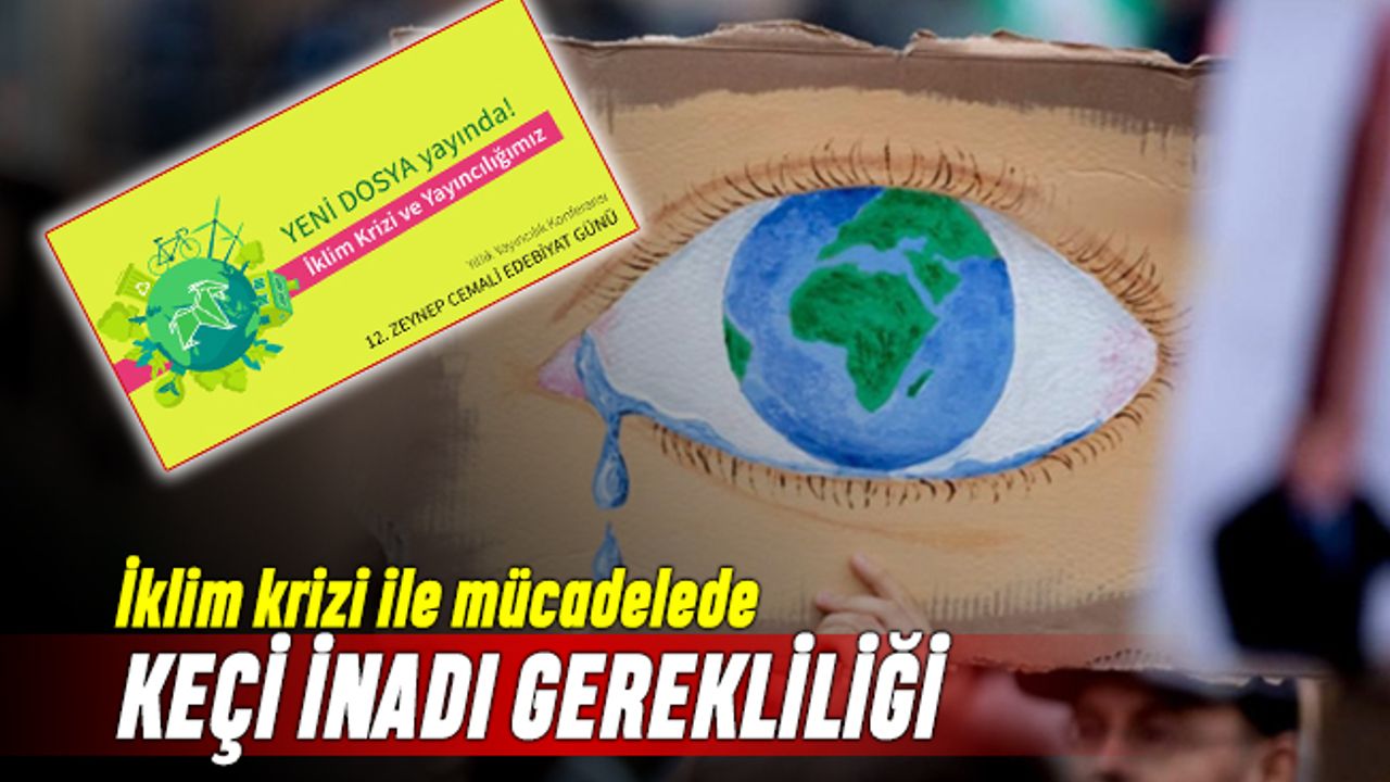İklim kriziyle mücadelede Keçi inadı gerekliliği