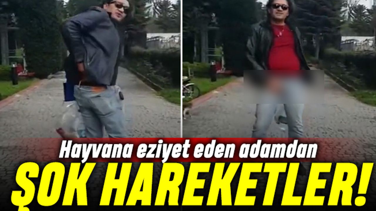 Kedi döven Aytuğ Koyuncu yaptığı hareketle gündemde