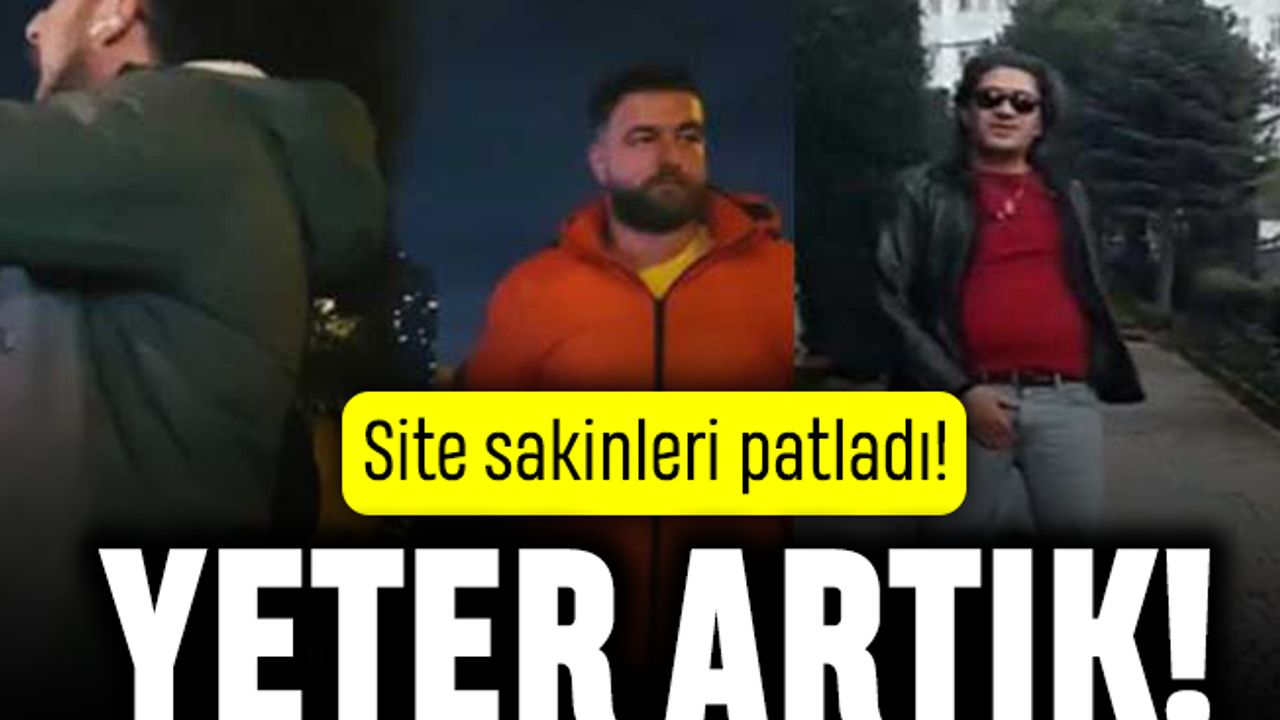 Sitede kedi tekmeleyen Aytuğ Koyuncu isyanı