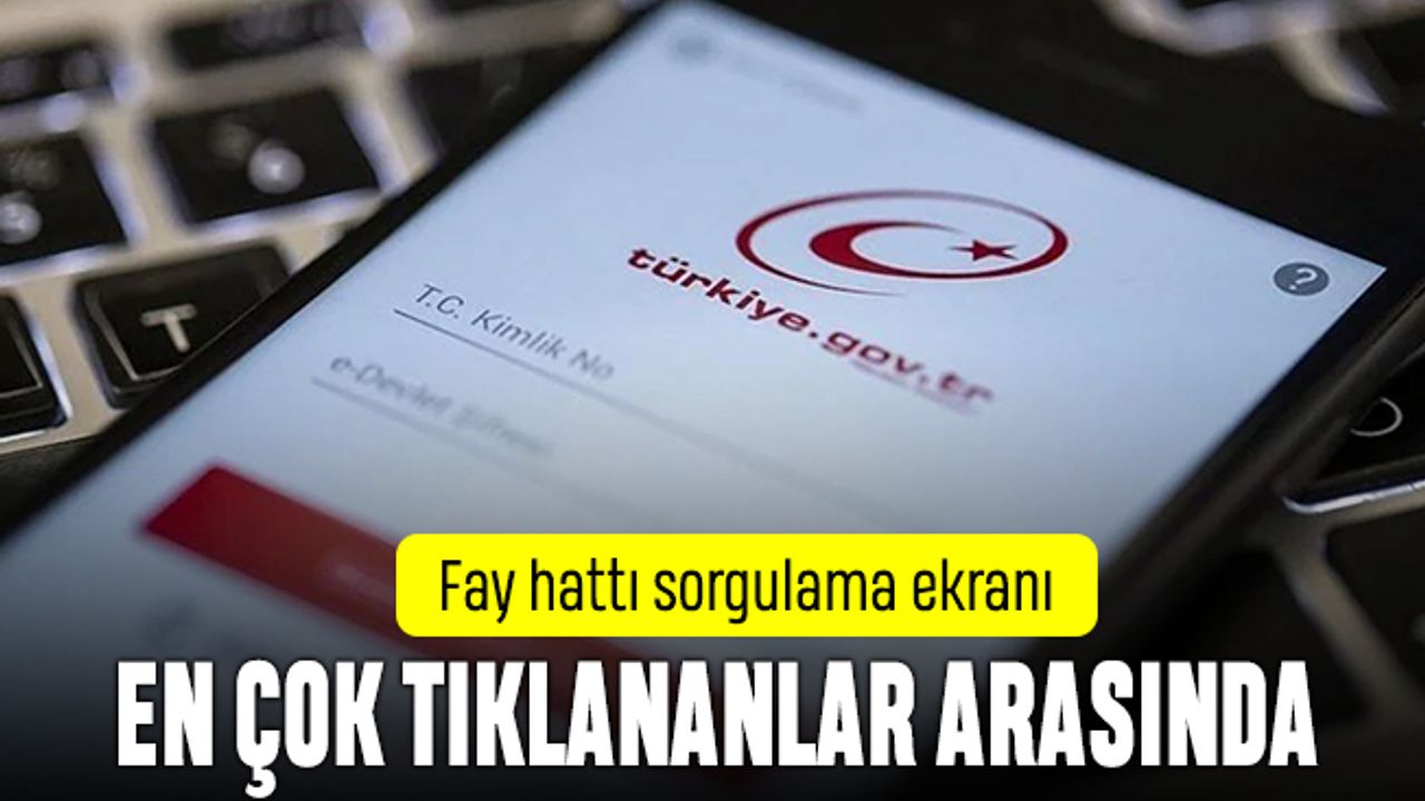 Fay hatları hangi şehirlerden geçiyor; Fay hattı sorgulama ekranı