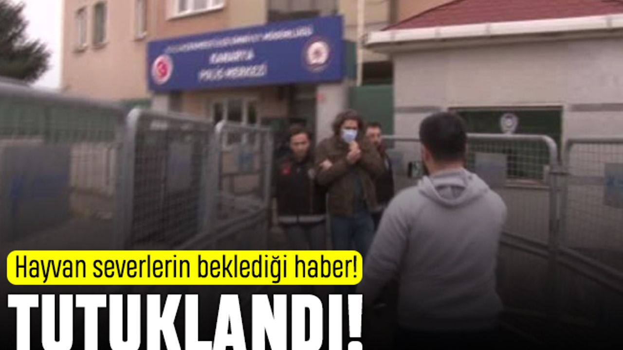 Hayvan severlerin beklediği haber: Aytuğ Koyuncu tutuklandı