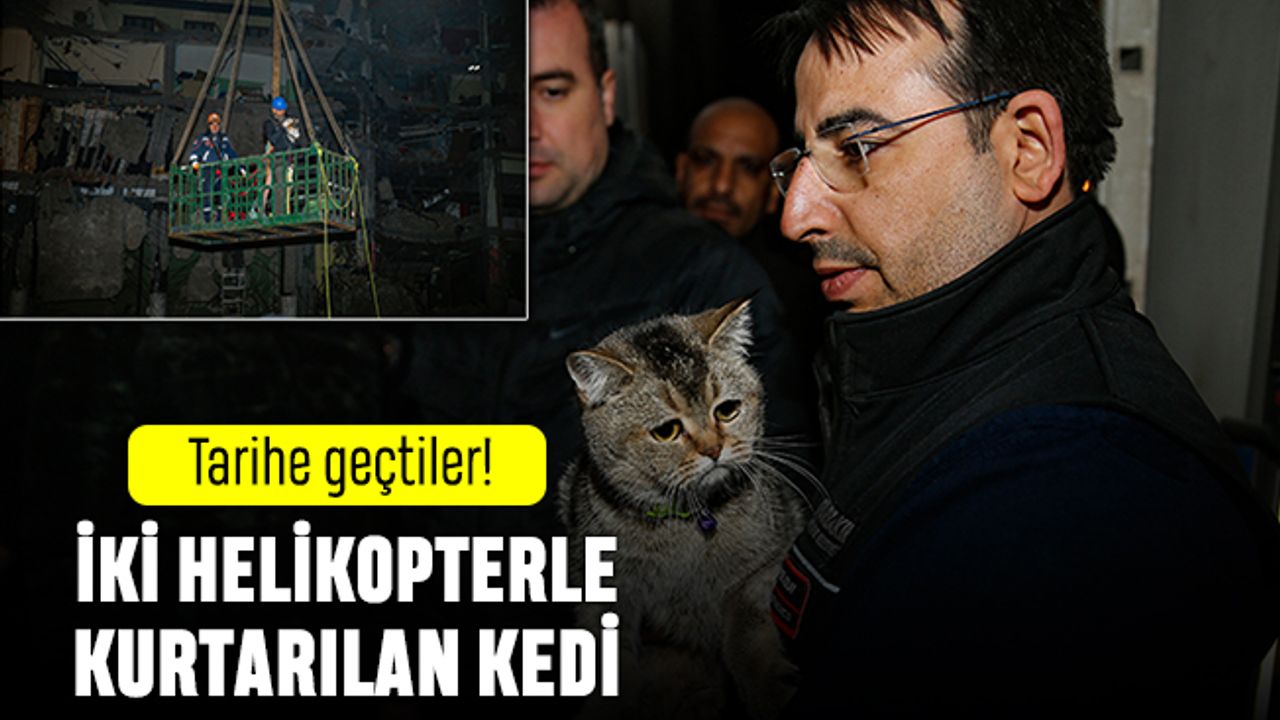 Mahsur kalan kediler tarihe geçti; Kediler için iki helikopter kaldırıldı