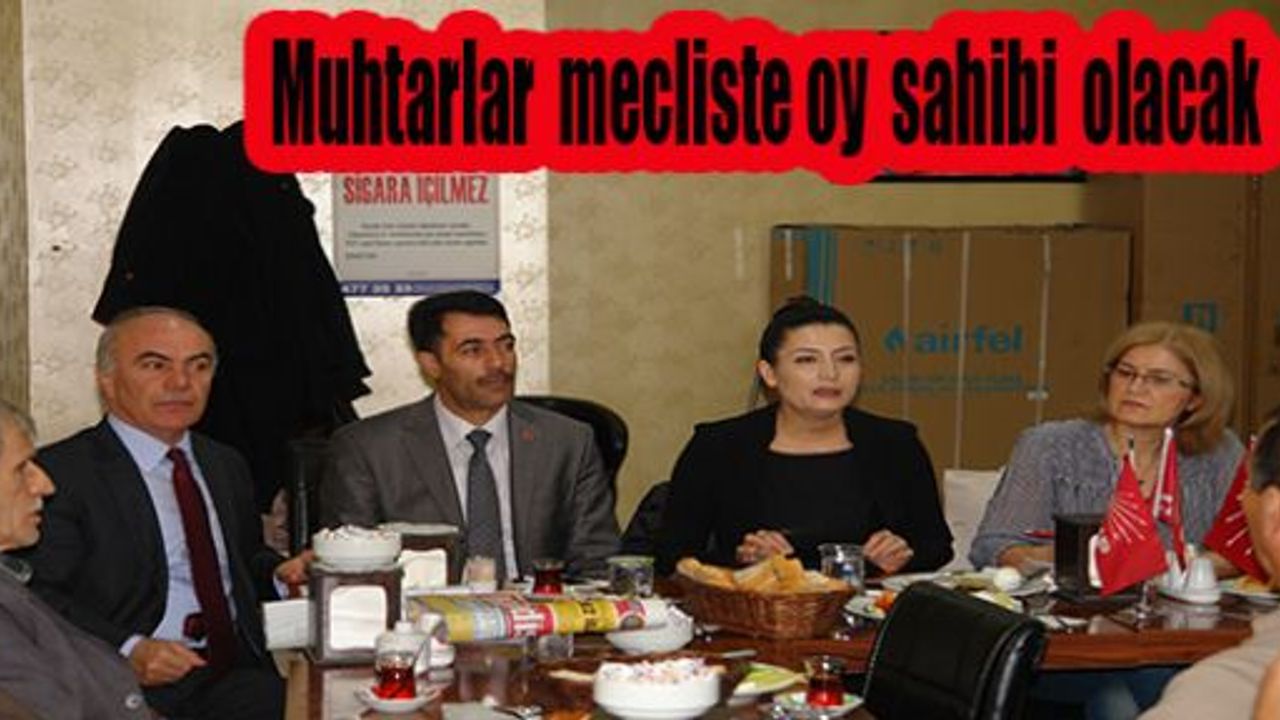 Dilek Aras; Muhtarlar mecliste oy sahibi olacaktır