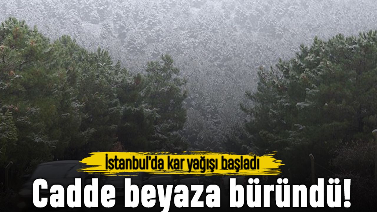 İstanbul'un birçok noktasında kar yağışı