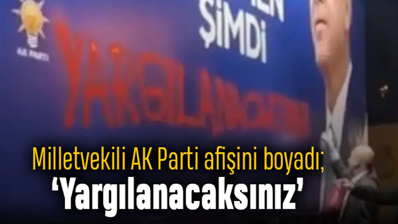 TİP Milletvekili Ahmet Şık AK Parti afişini boyadı; 'Yargılanacaksınız'