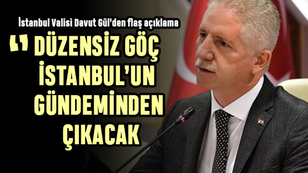 İstanbul Valisi Davut Gül’ün sokak hayvanları ve 100 Türk açıklaması gündemde