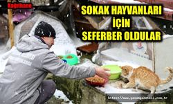 SOKAK HAYVANLARI İÇİN SEFERBER OLDULAR