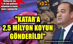 Türkiye’de Et'e % 48 Zam Gelirken Milyonlarca Koyun Katar’a Gönderildi