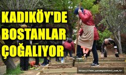 KADIKÖY’DE BOSTANLAR ÇOĞALIYOR