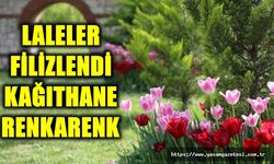 Kağıthane'de Lale Mevsimi Başladı