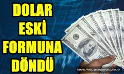 DOLAR ESKİ FORMUNA DÖNDÜ