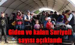 Giden ve kalan Suriyeli sayısı açıklandı