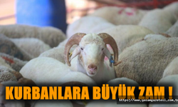 Kurbanlara Büyük zam !