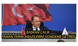 Başkan Çalık Yanan Tarım Arazilerini Gündeme Getirdi