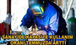 Sanayide kapasite kullanım oranı temmuzda arttı