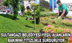 Sultangazi Belediyesi Yeşil Alanların Bakımını Titizlikle Sürdürüyor