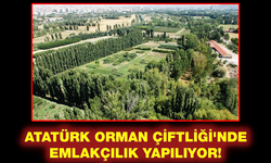 ATATÜRK ORMAN ÇİFTLİĞİ'NDE EMLAKÇILIK YAPILIYOR!