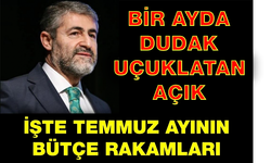 BİR AYDA DUDAK UÇUKLATAN AÇIK... İŞTE TEMMUZ AYININ BÜTÇE RAKAMLARI