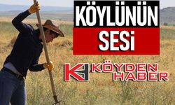 Köylünün sesi: koydenhaber.com