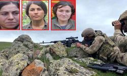 Başlarına 1 milyon TL ödül koyulan 3 terörist etkisiz hale getirildi