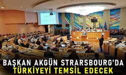 Akgün; Strarsbourg’da türkiyeyi temsil edecek