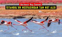 Balıkesir Kuş Cenneti, İstanbul'un medyasından tam not aldı