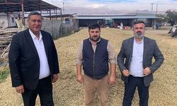 Hayvancılık sektöründeki en büyük sorun yem maliyetleri