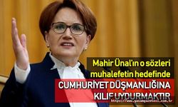 Mahir Ünal muhalefetin hedefinde; Akşener'den o sözlere çok sert tepki!