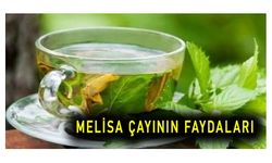 Melisa çayının faydaları