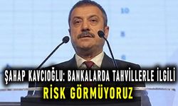 Şahap Kavcıoğlu: Bankalarda tahvillerle ilgili risk görmüyoruz