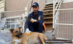 Sokak köpeği ile temizlik görevlisinin yürekleri ısıtan dostluğu