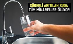 Sürekli arıtılan suda tüm minareller ölüyor